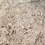 bianco-antico-granite