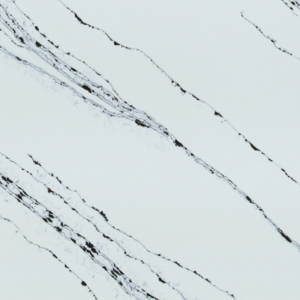 Pallisandro Quartz detail