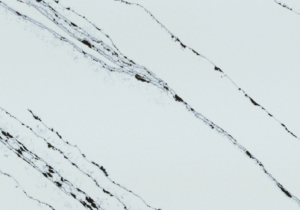 Pallisandro Quartz detail