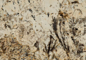 caravelas-gold-granite