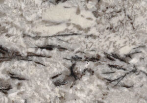 delicatus-white-granite