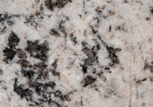 oyster-white-granite